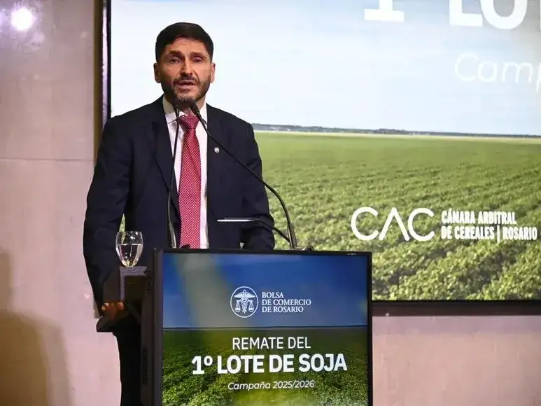 Pullaro soja