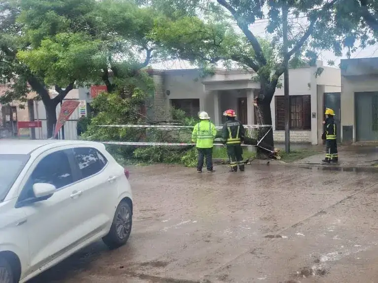 caída de rama