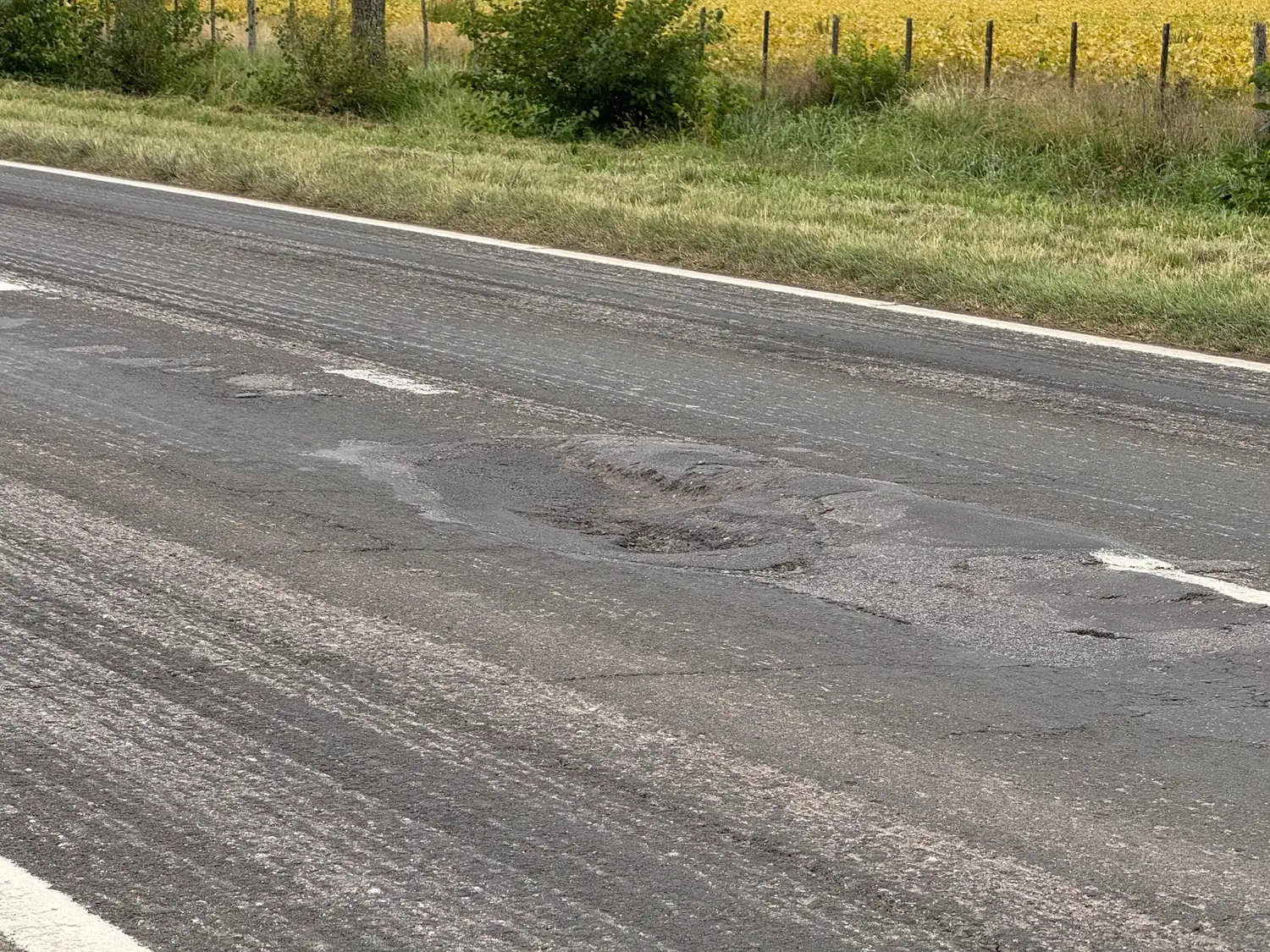 Ruta 8
