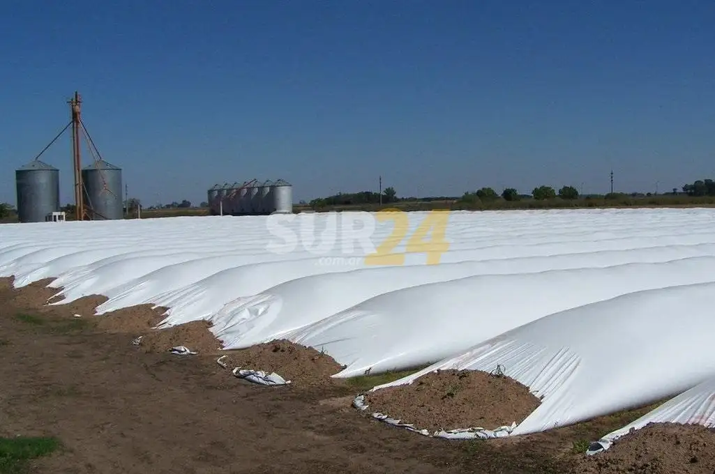Científicos santafesinos buscan reciclar plástico de los silobolsas para crear un nuevo material aislante