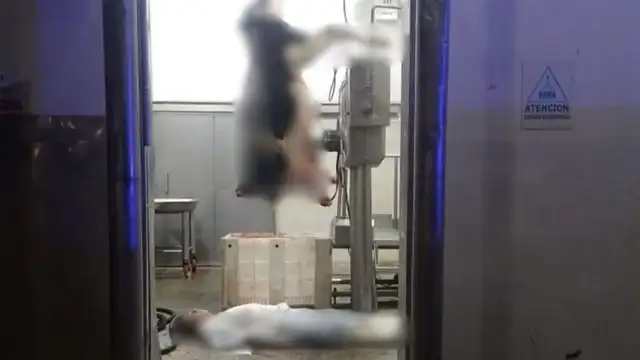 El hombre se descompensó súbitamente mientras trabajaba en el procesamiento de carne vacuna.
