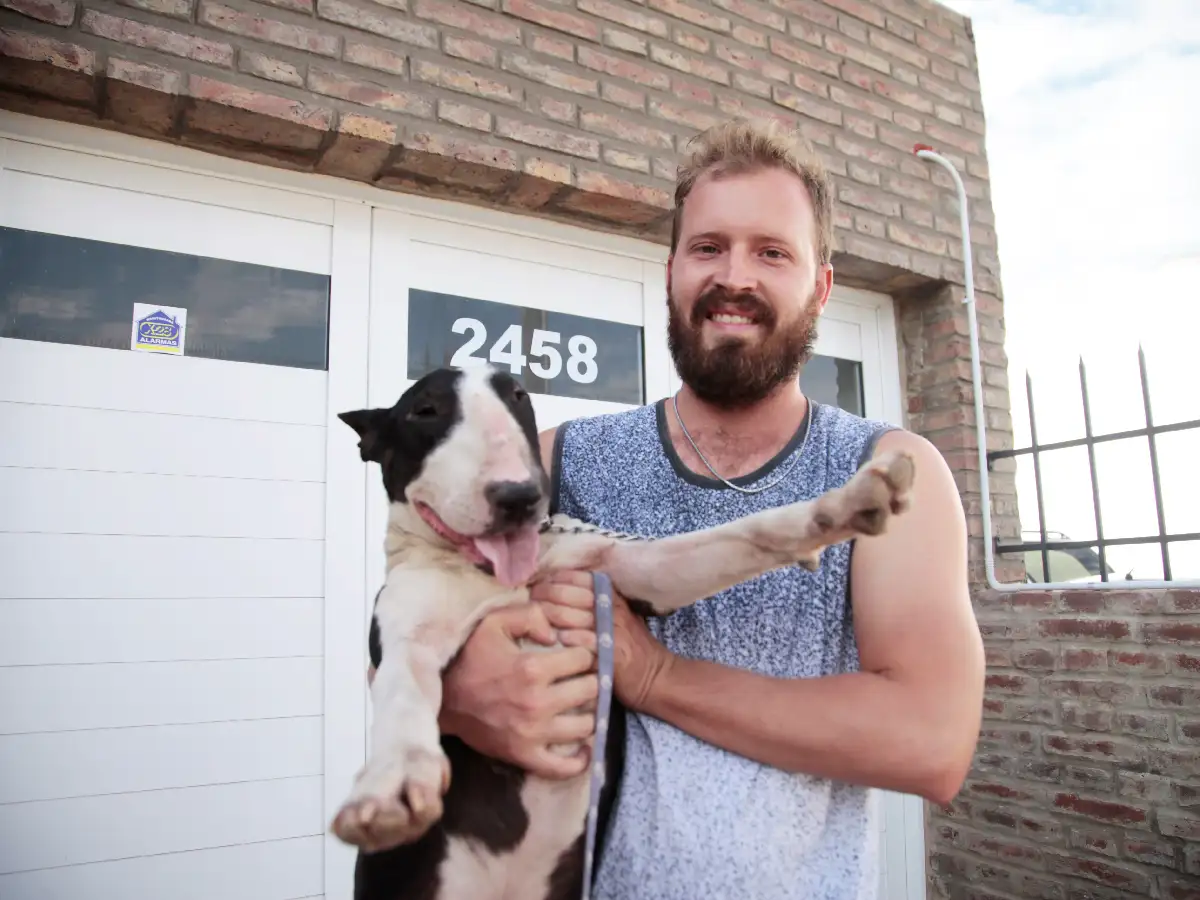 Chizzo, el bull terrier que tuvo una segunda oportunidad