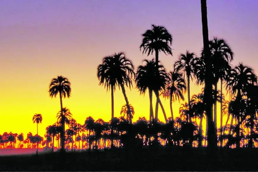 El Palmar