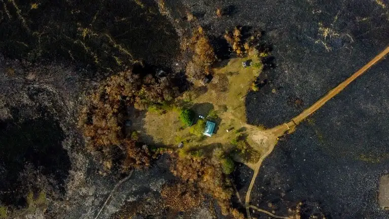 A cinco meses del fuego, ya se recuperó más del 80% del Parque Nacional Iberá