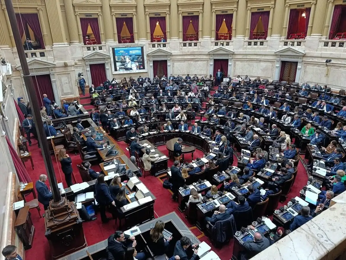 Ley de Discapacidad: el oficialismo logró el apoyo de UxP y se aprobó el proyecto con una mayoría abrumadora