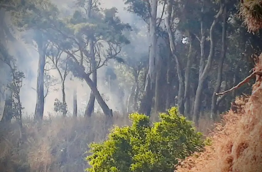 La Municipalidad recuerda tomar recaudos para evitar incendios