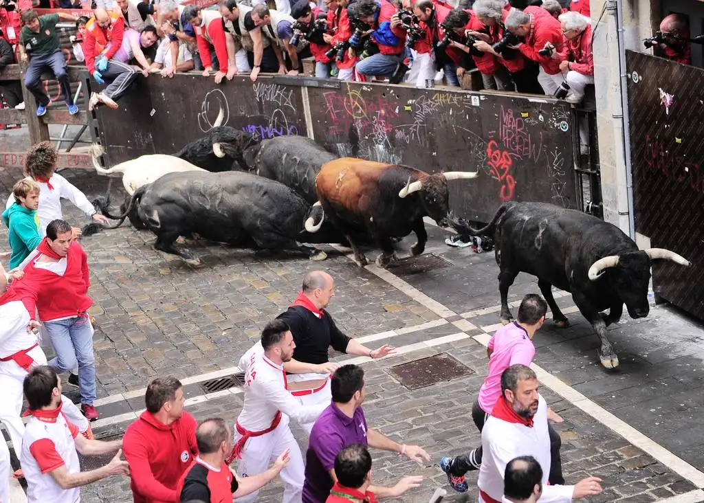 Cinco heridos en el primer encierro de San Fermín