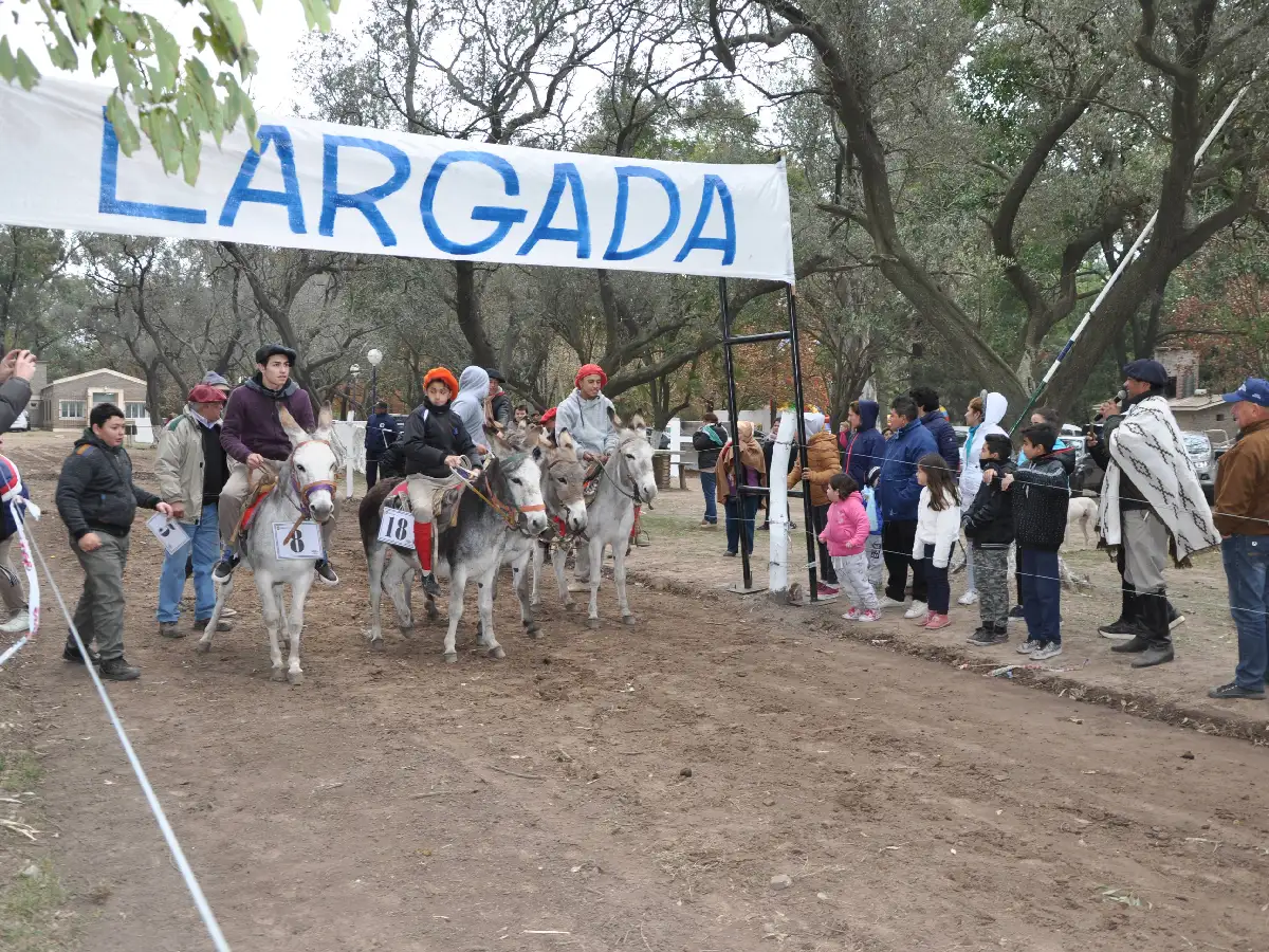 De Traslasierra a Brinkmann,  la segunda maratón de burros 