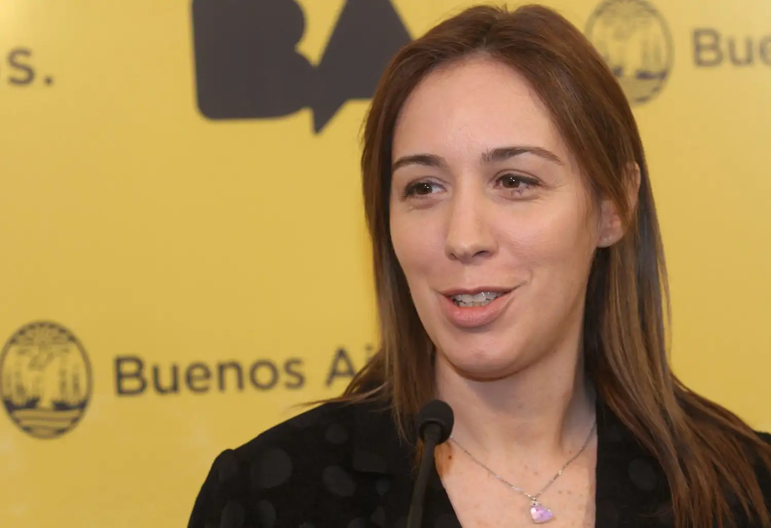 Vidal adjudicó amenazas recibidas "a un sector antidemocrático"