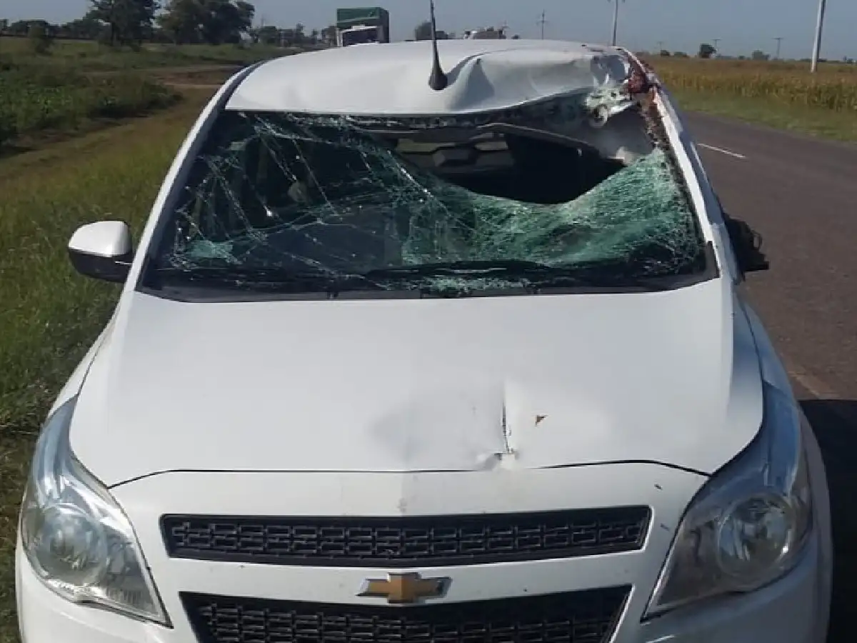 San Guillermo: chocó un caballo cuando manejaba y resultó herido