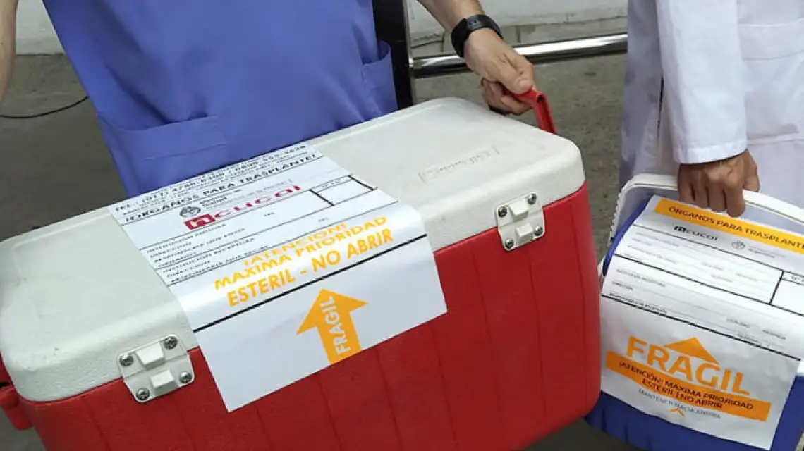 Donación de órganos desde la perspectiva del personal médico.