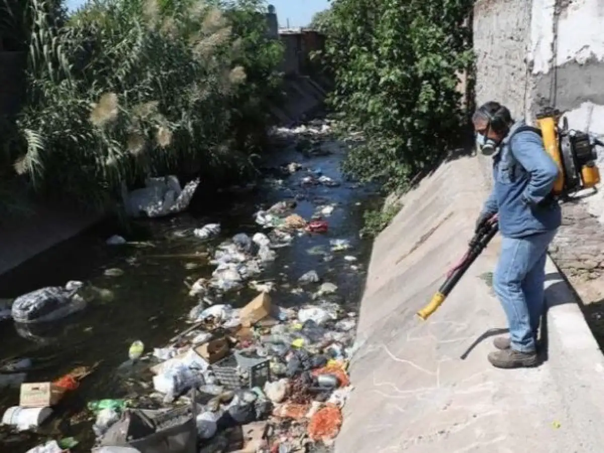 Dengue: una chica de 17 años se convirtió en la quinta muerte en Tucumán