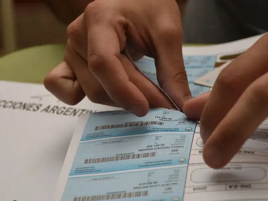 El próximo 26 de octubre se elegirán diputados nacionales en todo el país, y senadores en algunas provincias. Crédito: Archivo - Flavio Raina.
