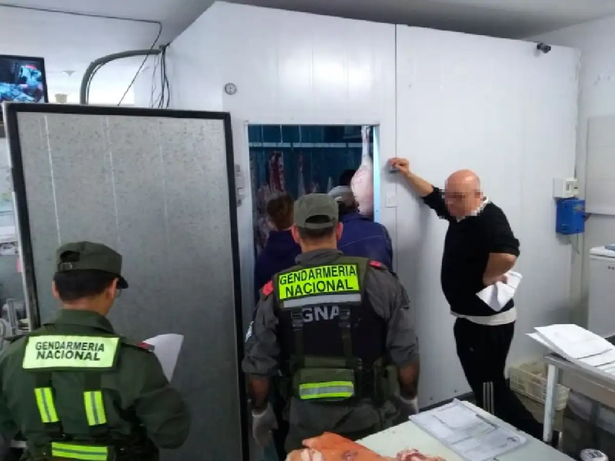 Productor confesó que desde hace 6 años la banda que adulteraba carne le compraba animales muertos