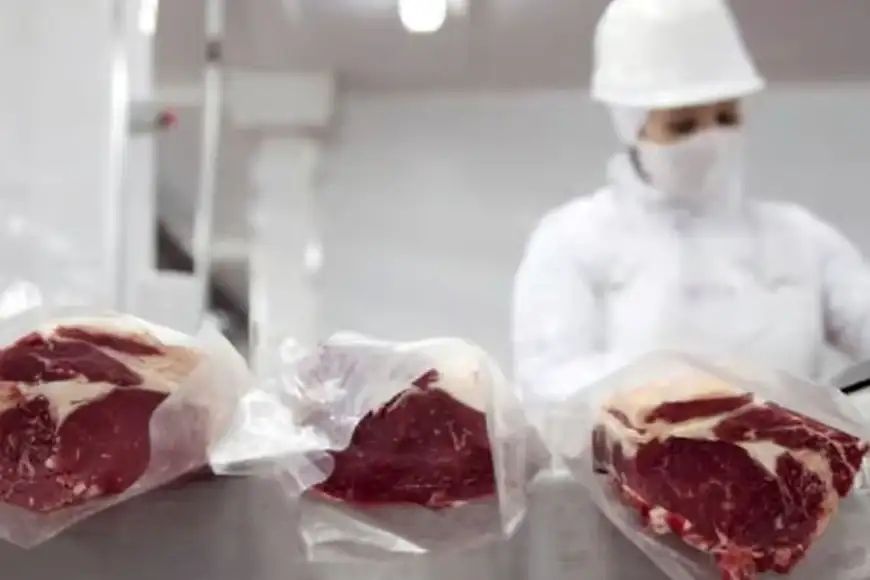 carne - 3