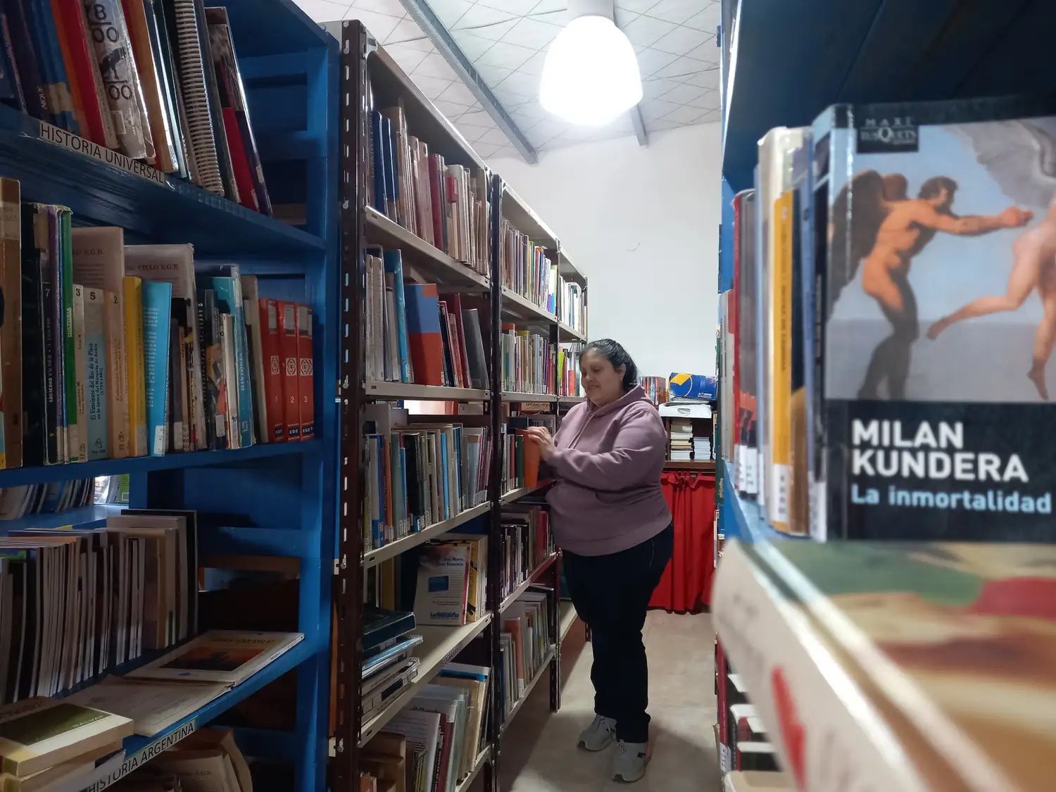 “Es importante que la comunidad siga apostando a la cultura y apoyen a las bibliotecas populares", aseguró Gabriela Biava en su día