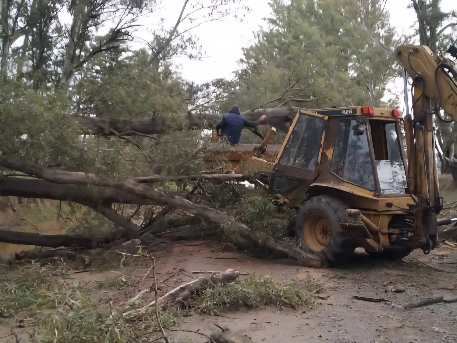 Maquinaria municipal trabajando para despejar la ruta.
