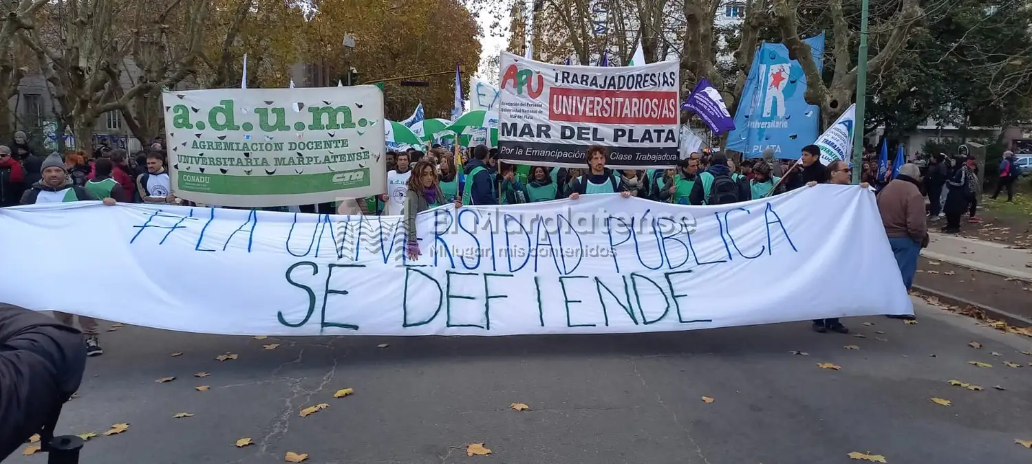 Marcha docente en reclamo de la educacion pública y contra las medidas de Milei.