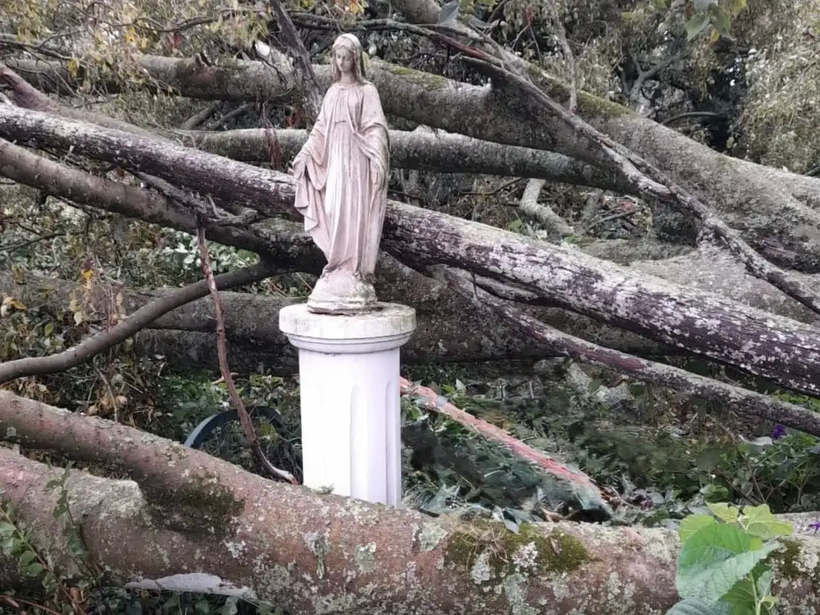 La imagen sorprendió a la región tras el devastador temporal. Foto: Gentileza.