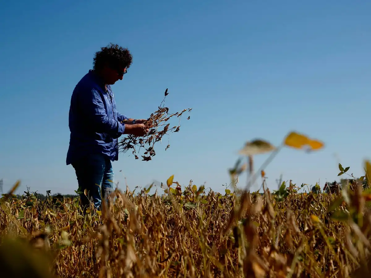  Agro: renovar expectativas
