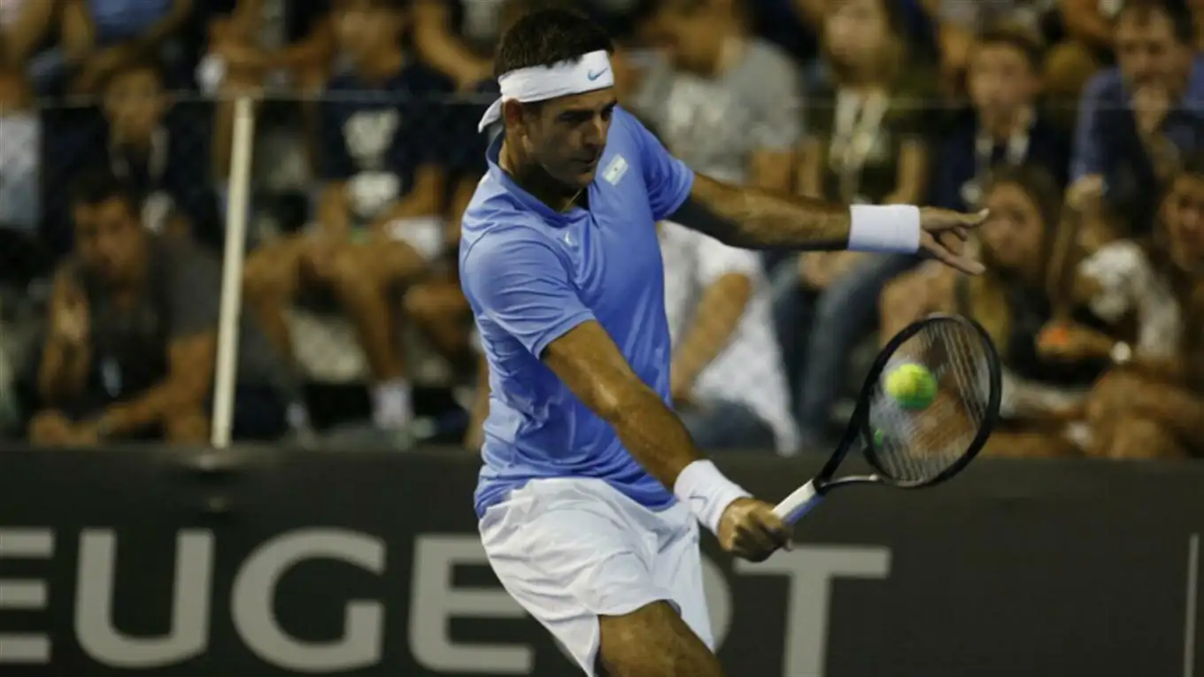 Del Potro vivió su fiesta en Mar del Plata