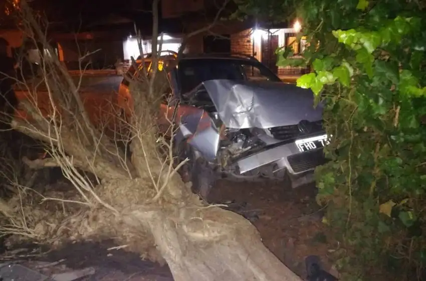 Perdió el control y chocó contra un árbol