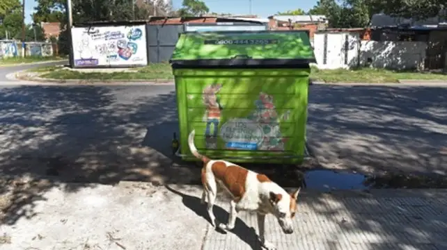 Encontraron 30 perros faenados en un contenedor en Rosario