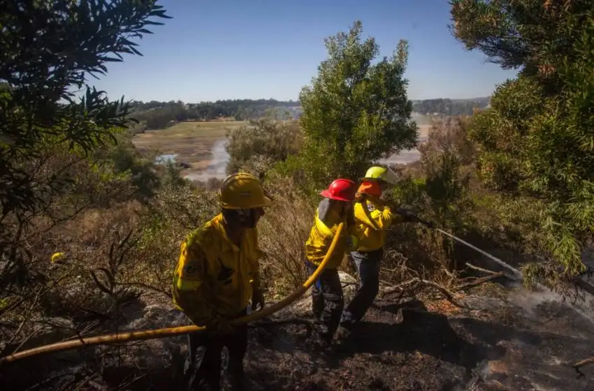 "Se espera un gran número de incendios forestales para el verano"