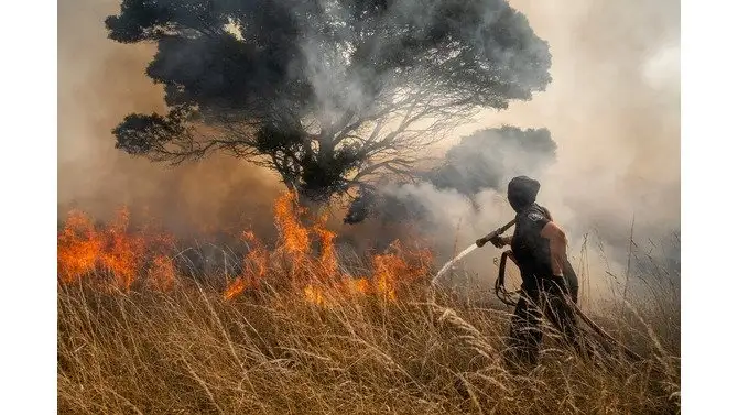 Incendios forestales
