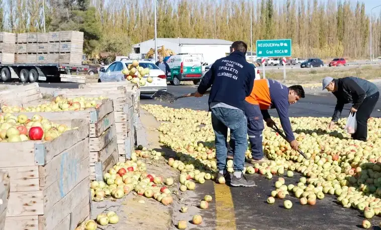 Neuquén: vecinos saquearon una carga de manzanas que cayó de un camión