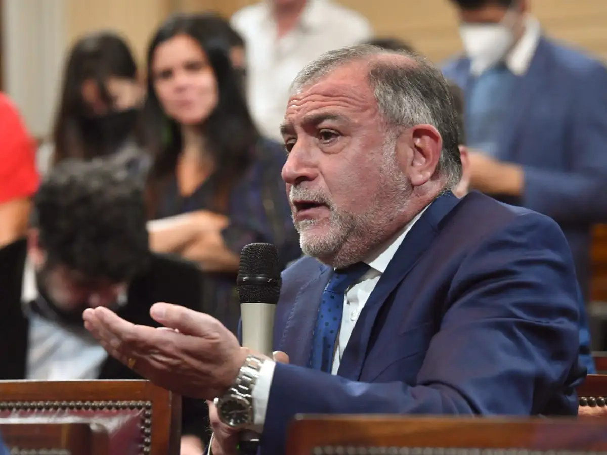 El Senado pidió rechazar el amparo de Juez para ingresar en el Consejo de la Magistratura
