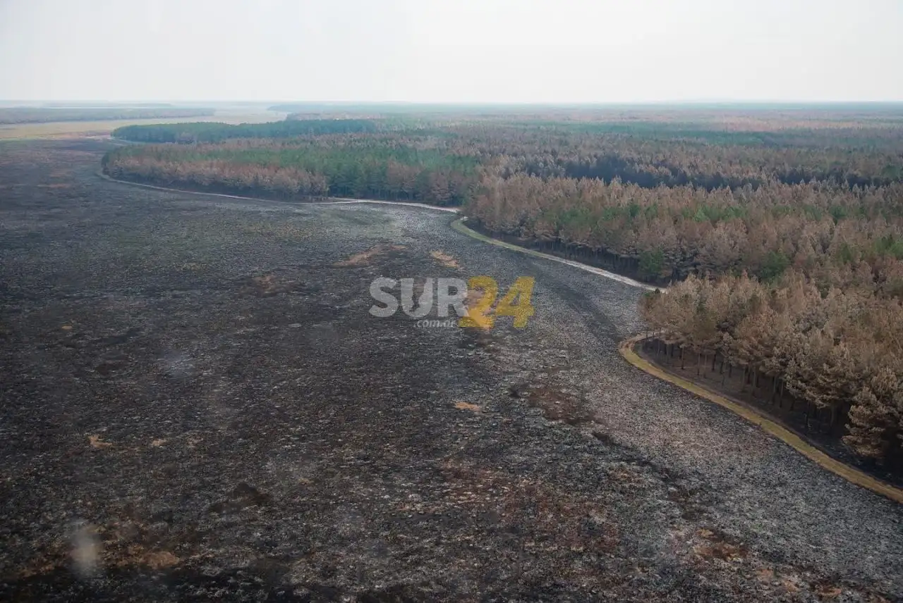 El gobernador de Corrientes anunció que se apagaron los incendios en la provincia