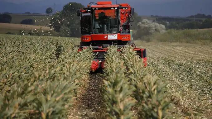 La Argentina fue desplazada del ránking de los 10 principales exportadores de productos agrícolas