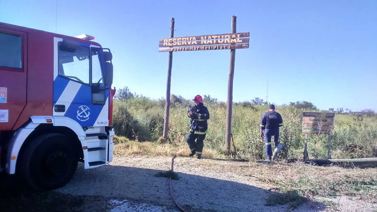 incendio-reserva-4