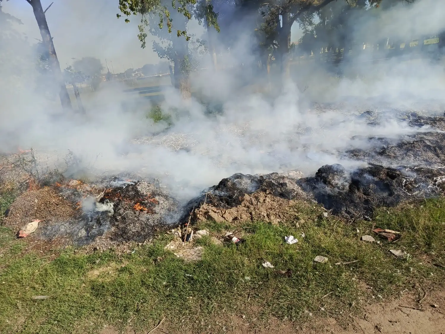 incendio basura