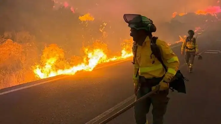 El fuego se habría desatado por la caída de un cable eléctrico.