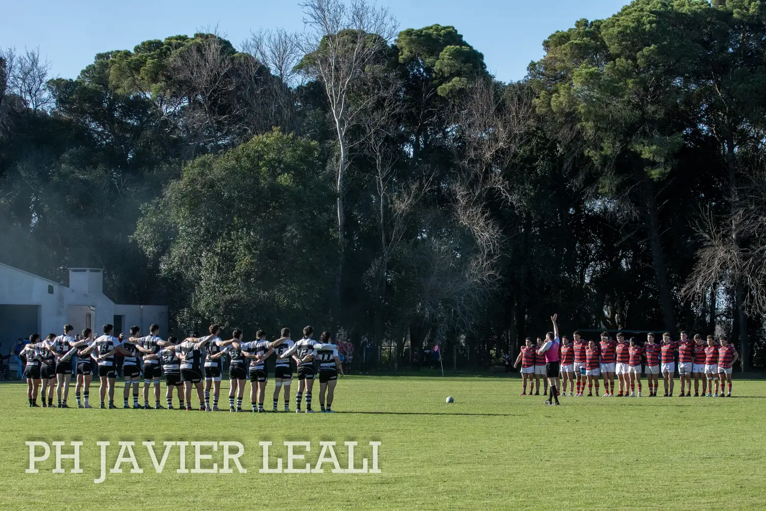 Rugby