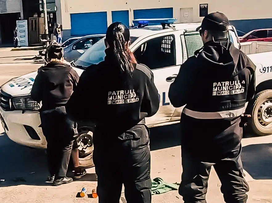 La Patrulla Municipal tuvo que intervenir en Jacinto Peralta Ramos y Fortunato de la Plaza.
