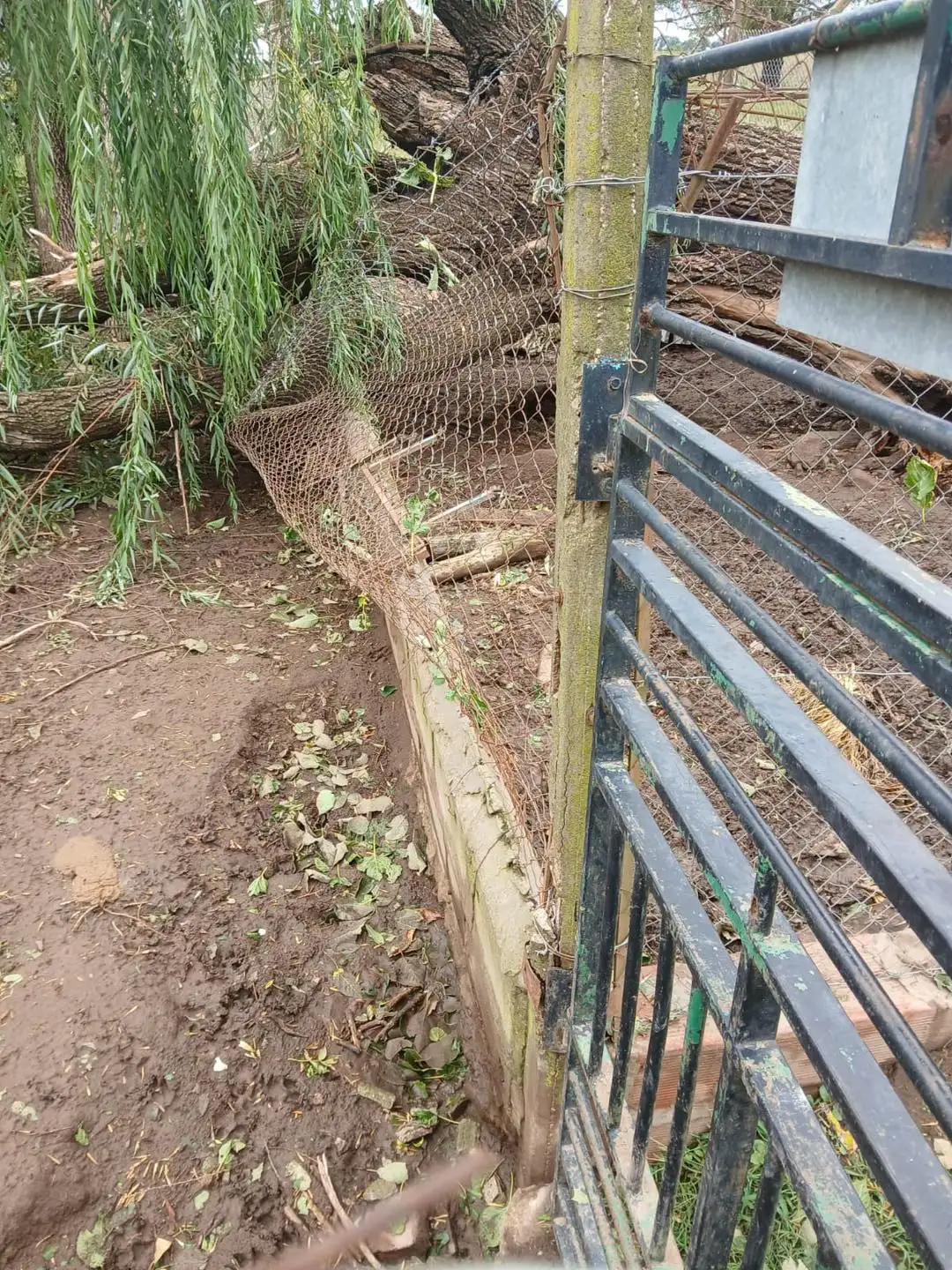 daños refugio 2