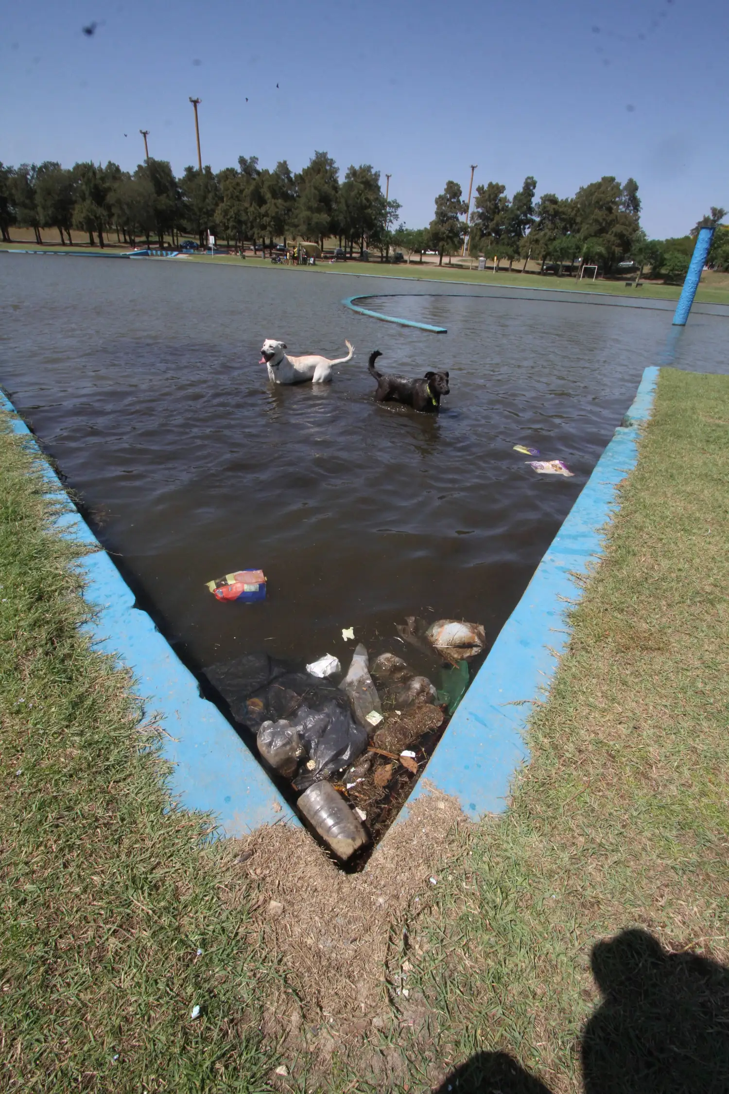 Los piletones del Parque Sur no tienen recambio de agua