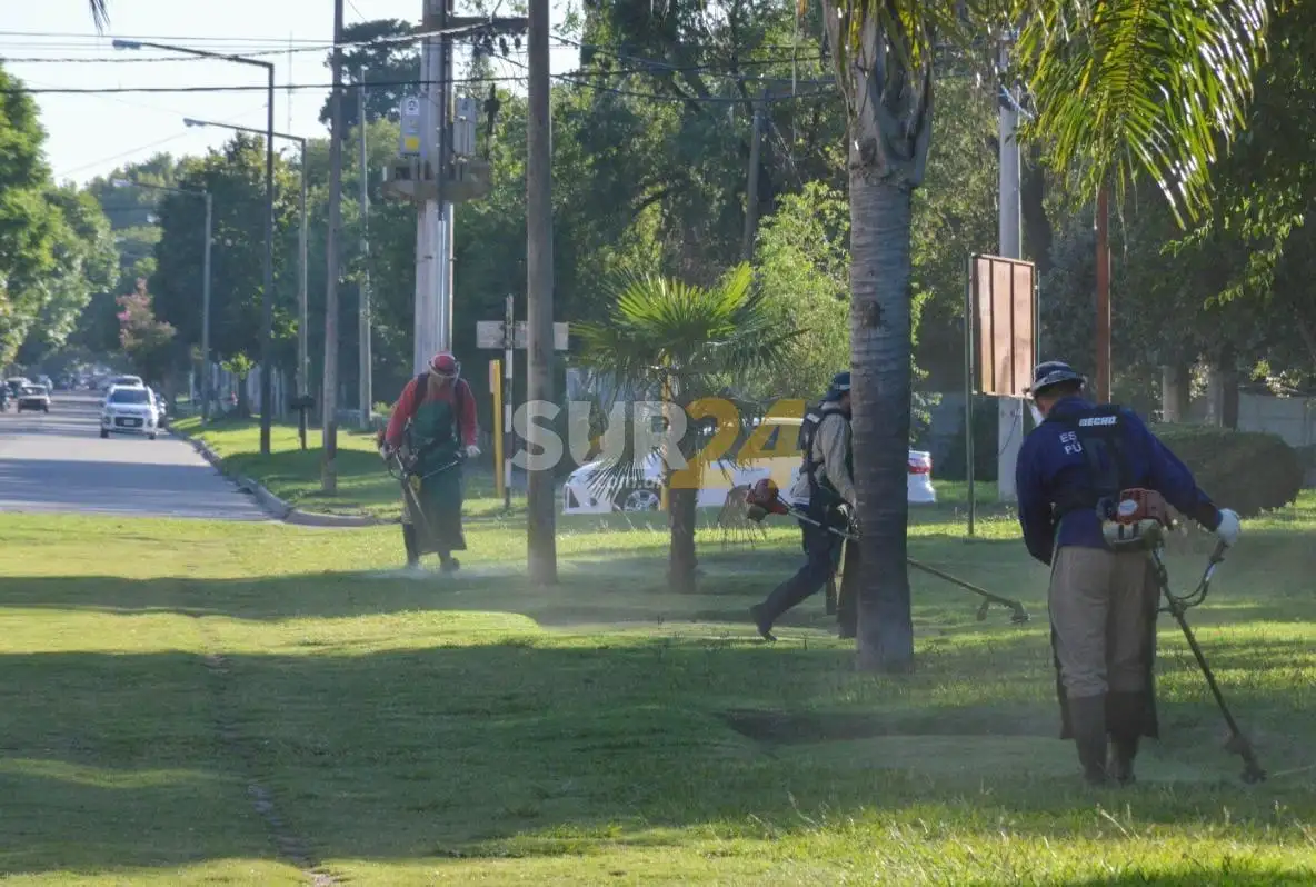 Poda, desmalezado y limpieza: un trabajo que se multiplica día a día en la ciudad