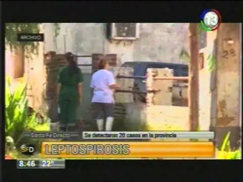 En lo que va del año se registraron 20 casos de leptospirosis en la provincia