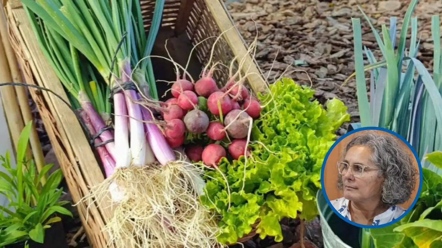 Cultivar en casa: una alternativa que gana terreno frente a la inflación. Mariana Victoria Vigo explica por qué.