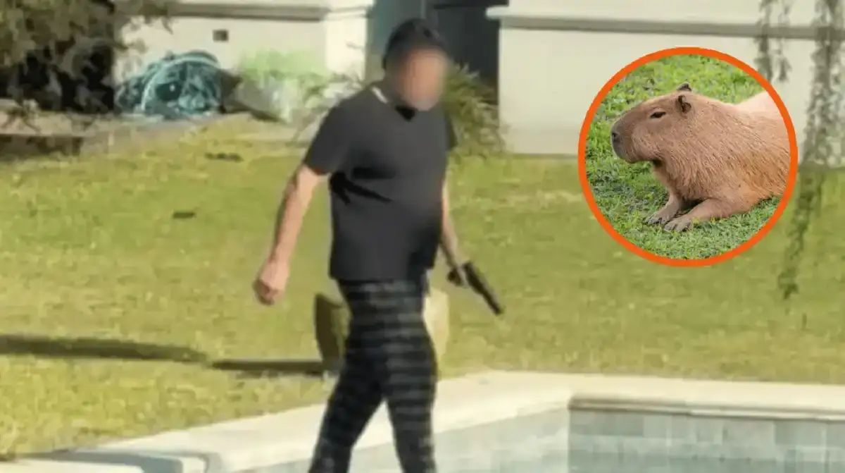 Un vecino de Nordelta le disparó a carpinchos y fue denunciado por maltrato animal