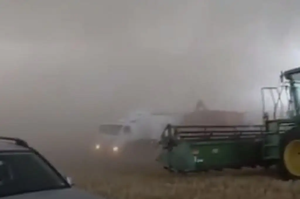 Buenos Aires: una tormenta “viral” azotó la localidad de Colón