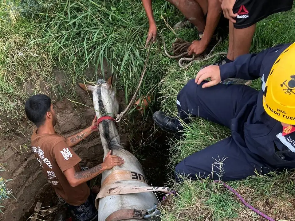 Crédito: Bomberos de Venado Tuerto.