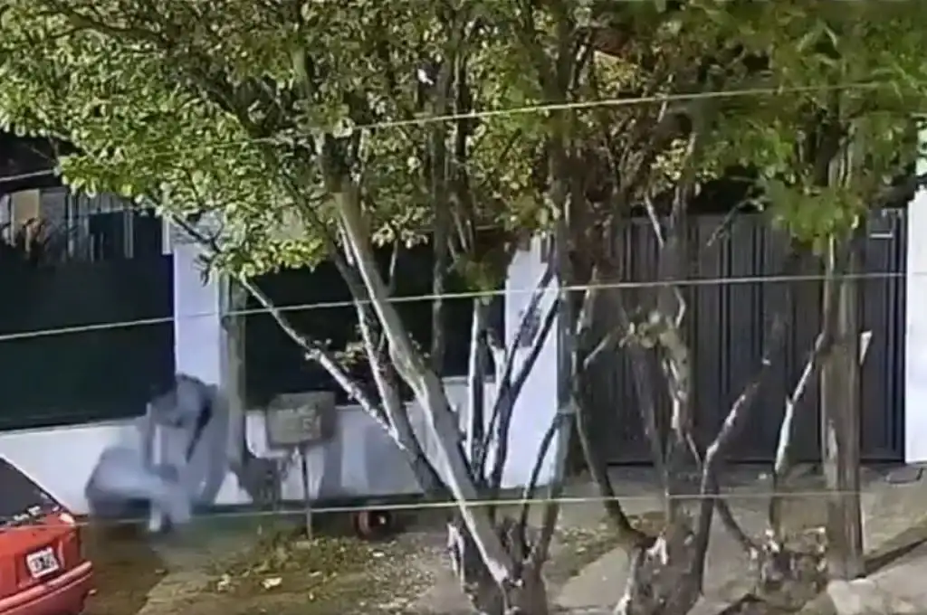 Brutal agresión