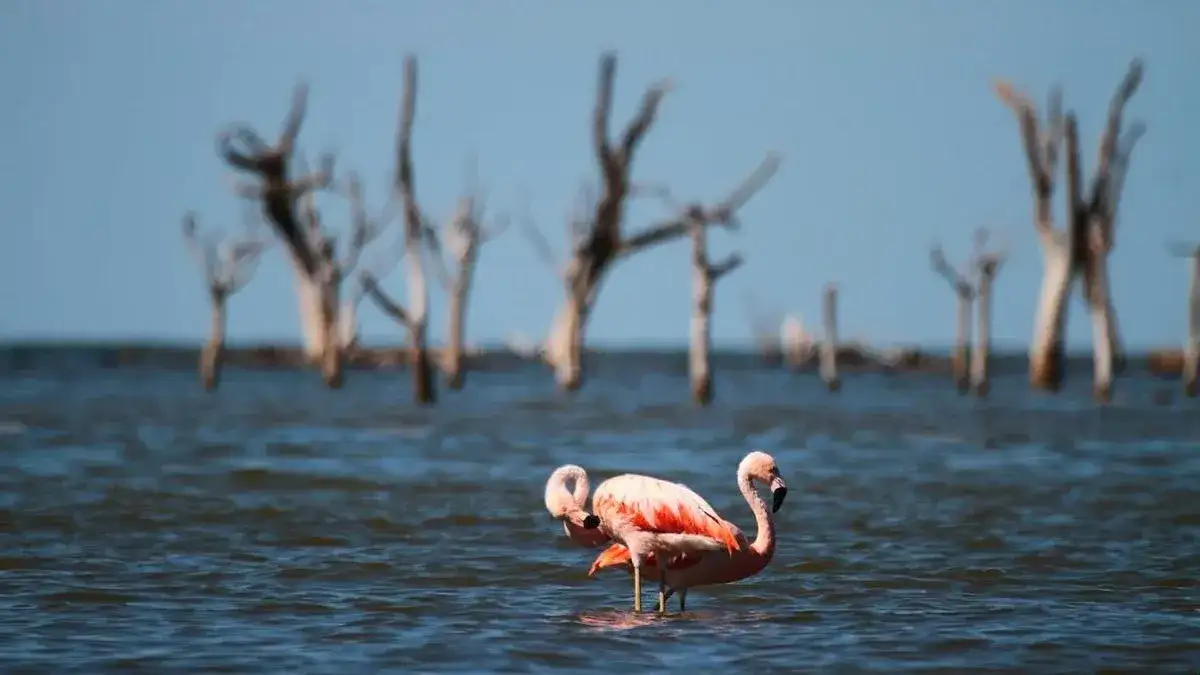 La convocatoria busca obras inspiradas en el Parque Nacional y su región