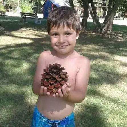 Le dieron el alta a Thiago Joel