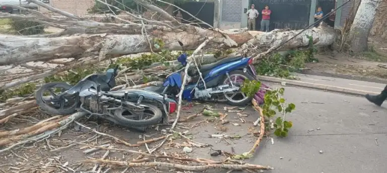 Los bomberos rescataron a los dos hombres involucrados.